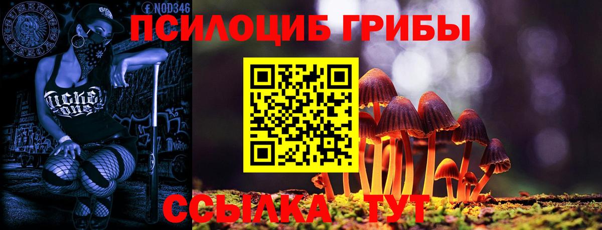 Галлюциногенные грибы Psilocybe Кувандык