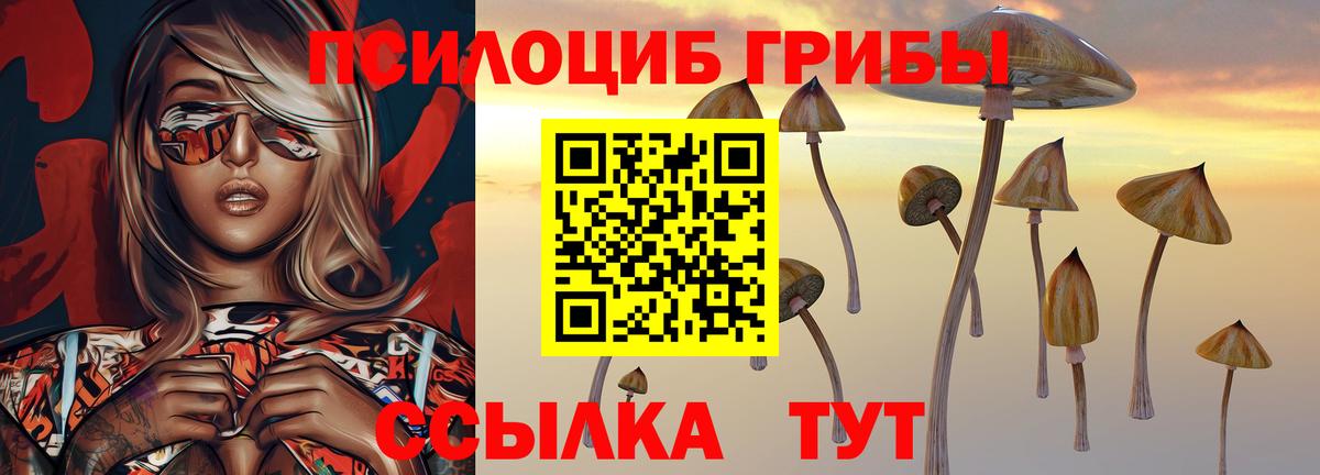 Псилоцибиновые грибы ЛСД  Вход с VPN  Кувандык 